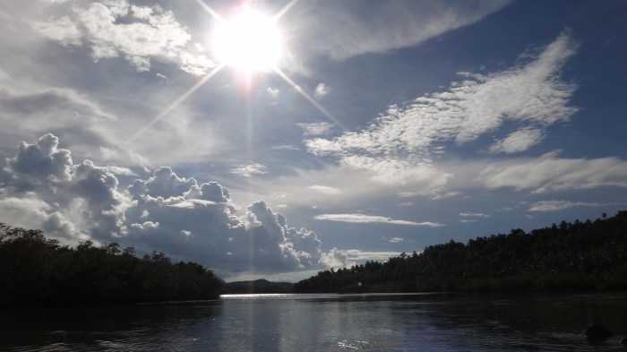 River meeting sea - 503