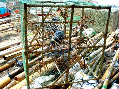 crab cages olotayan island, capiz, philippines