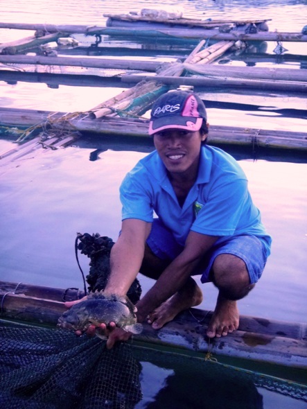 Fish ponds at Palina River, Roxas City, Capiz, Philippines