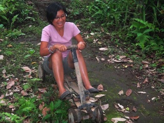 ligiron, four-wheel wooden bike