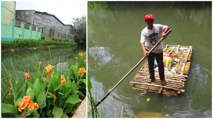 Flowers at Estero de San Miguel, Pasig River, Philippines, Pasig River Warrior