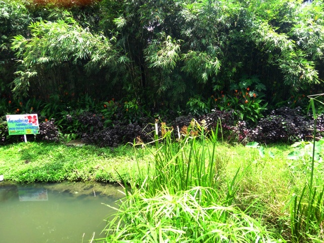 Pasig River, rehabilitated Estero de Paco, Manila, Philippines