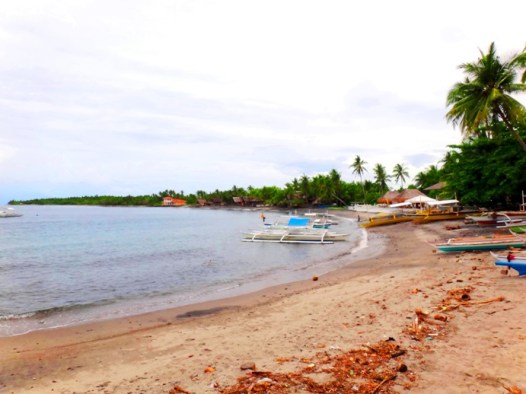 Beach by Malatapay Market, Zamboanguita, (near Dumaguete), Negros Oriental, Philippines