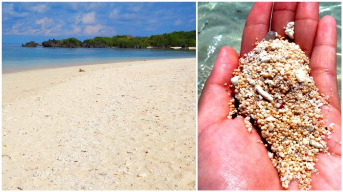 pink beach, fine sand, pebbles, Apo Island, Apo Reef, Sablayan, Occidental Mindoro, Philippines
