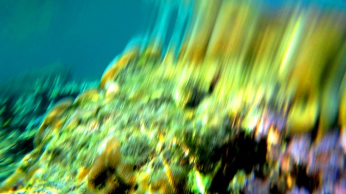 underwater, snorkeling and almost drowning at Apo Reef, Sablayan, Occidental Mindoro, Philippines