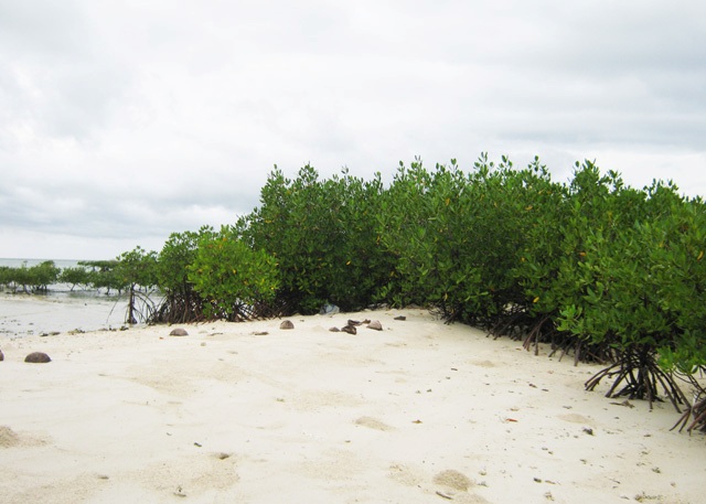 ???????????????????????????????