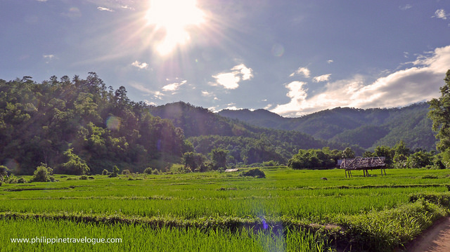 Fleeting moments, lasting magic