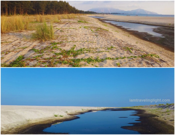 raw, unspoiled beach, pine trees, creek, mountains, volcanic sand, white sand, Zambawood Resort, luxury resort, advocacy resort, La Paz, San Narciso, Zambales