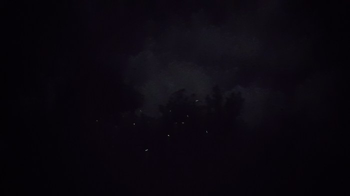 Fireflies, firefly watching tour, river, paddleboat, Sta. Ana, Cagayan, Philippines