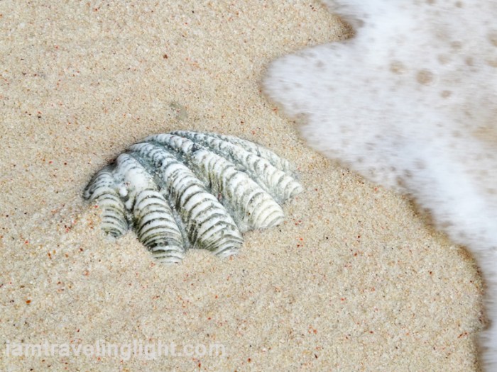 fine sand, Sibutu unspoiled white beach, Tawi-tawi, Mindanao, Philippines