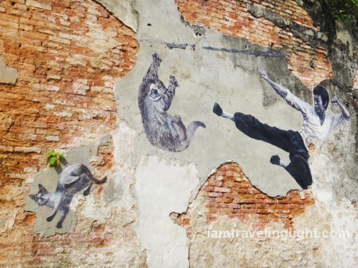 Bruce Lee kicking cat, against animal cruelty, Penang street art, Malaysia