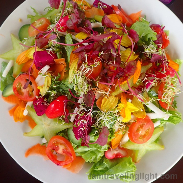 fresh-rainbow-salad-organic-vegetables-star-fruit-balimbing-makopa-cosmos-lettuce-costales-farm-majayjay-laguna