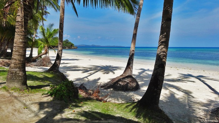 romblon-carabao-island-hambil-unspoiled-white-beach-coconut-trees