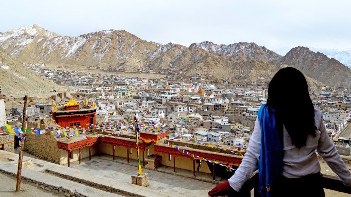 Leh Palace, overlooking view of Leh town, colorful prayer flags, Ladakh, snowcapped mountains, Himalayas, landscape, India