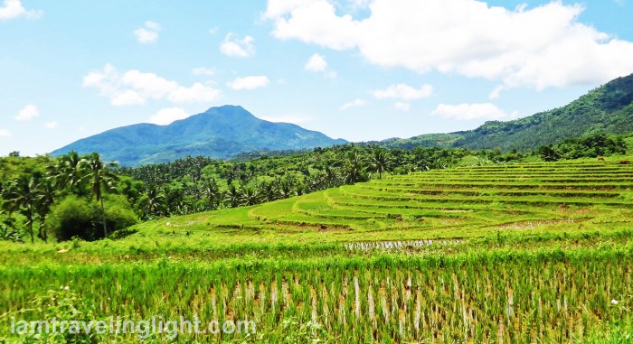 Biliran rice terraces