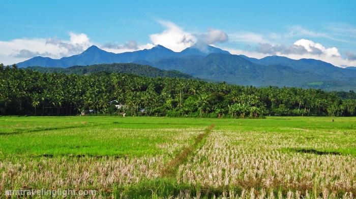 Biliran, mountains, mountain range, Tres Marias, rice fields
