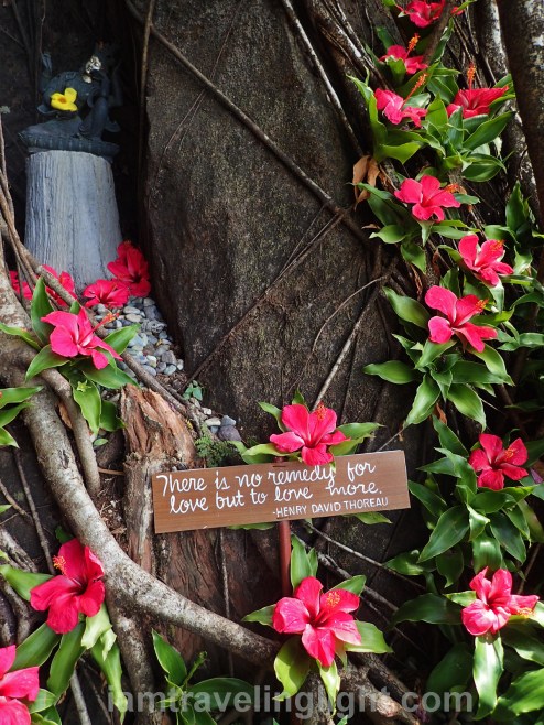 Luljettas Hanging Gardens and Spa, inspirational sayings, meditative sayings, meditation, words, relaxation, chill, Antipolo, Rizal.jpg