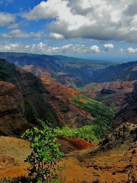 Waimea Canyon, Hawaii.jpg