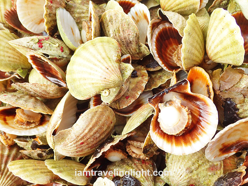 1-peso scallops Gigantes Islands are known for