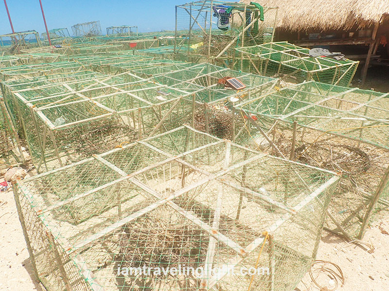 Crab cages in Pulupandan
