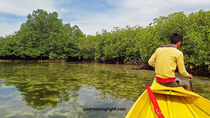 boat, lagoon tour, mangrove forest, trees, white Pink Beach Sta. Cruz Island, Zamboanga City.jpg