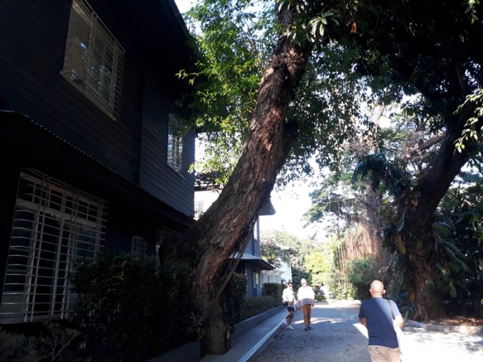 compound ryan tanauan 3