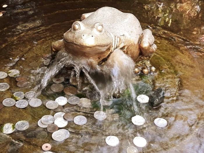 frog fountain