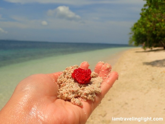 red organ pipe coral and sand, white Pink Beach Sta. Cruz Island, Zamboanga City.JPG
