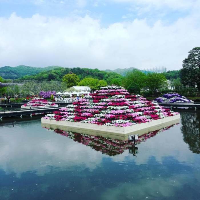 flower pyramid, Ashikaga Flower Park, Japan